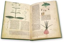 Egerton Tractatus de Herbis – The Folio Society – MS Egerton 747 – British Library (London, United Kingdom)