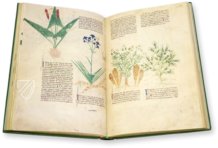 Egerton Tractatus de Herbis – The Folio Society – MS Egerton 747 – British Library (London, United Kingdom)