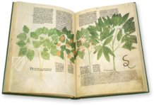 Egerton Tractatus de Herbis – The Folio Society – MS Egerton 747 – British Library (London, United Kingdom)