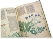 Egerton Tractatus de Herbis – The Folio Society – MS Egerton 747 – British Library (London, United Kingdom)
