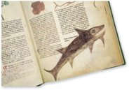 Egerton Tractatus de Herbis – The Folio Society – MS Egerton 747 – British Library (London, United Kingdom)