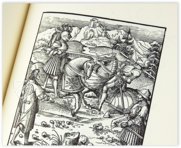 Emperor Maximilian I: Theuerdank – Müller & Schindler – Ra 16 The 1 – Württembergische Landesbibliothek (Stuttgart, Germany) Emperor Maximilian I: Theuerdank – Müller & Schindler – Ra 16 The 1 – Württembergische Landesbibliothek (Stuttgart, Germany)