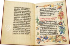 Epistolary of Frederick the Wise – Ms. EL. F. 2 – Thuringer Universitats- und Landesbibliothek (Jena, Germany) Facsimile Edition