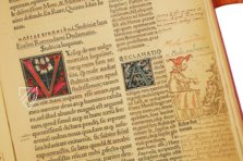 Erasmi Roterodami Encomium Moriae – Henning Oppermann – 1662166 – Kunstmuseum Basel (Basel, Switzerland)