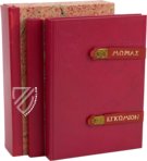 Erasmi Roterodami Encomium Moriae – Henning Oppermann – 1662166 – Kunstmuseum Basel (Basel, Switzerland)