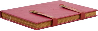 Erasmi Roterodami Encomium Moriae – Henning Oppermann – 1662166 – Kunstmuseum Basel (Basel, Switzerland)