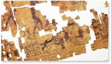 Erotic Papyrus – BiblioGemma – N. Inv. C. 2031 (CGT 55001) – Museo Egizio di Torino (Turin, Italy)