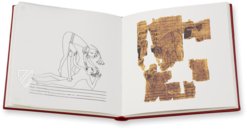 Erotic Papyrus – BiblioGemma – N. Inv. C. 2031 (CGT 55001) – Museo Egizio di Torino (Turin, Italy)