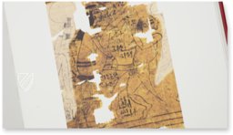 Erotic Papyrus – N. Inv. C. 2031 (CGT 55001) – Museo Egizio di Torino (Turin, Italy) Facsimile Edition