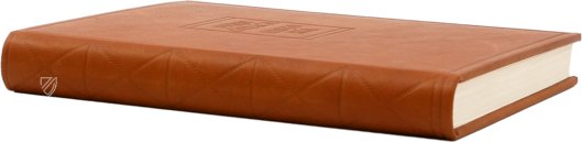 Evangelica Historia – Electa – L 58 sup. – Veneranda Biblioteca Ambrosiana (Milan, Italy)