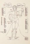 Fasciculus Medicinae