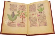 Fascination of Medical Plants β Imago β Est. 28 = alfa M. 5. 9 β Biblioteca Estense Universitaria (Modena, Italy) Fascination of Medical Plants β Imago β Est. 28 = alfa M. 5. 9 β Biblioteca Estense Universitaria (Modena, Italy)