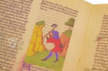 Fascination of Medical Plants β Imago β Est. 28 = alfa M. 5. 9 β Biblioteca Estense Universitaria (Modena, Italy) Fascination of Medical Plants β Imago β Est. 28 = alfa M. 5. 9 β Biblioteca Estense Universitaria (Modena, Italy)