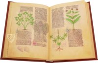 Fascination of Medical Plants β Imago β Est. 28 = alfa M. 5. 9 β Biblioteca Estense Universitaria (Modena, Italy) Fascination of Medical Plants β Imago β Est. 28 = alfa M. 5. 9 β Biblioteca Estense Universitaria (Modena, Italy)