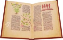 Fascination of Medical Plants β Imago β Est. 28 = alfa M. 5. 9 β Biblioteca Estense Universitaria (Modena, Italy) Fascination of Medical Plants β Imago β Est. 28 = alfa M. 5. 9 β Biblioteca Estense Universitaria (Modena, Italy)