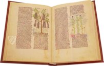 Fascination of Medical Plants β Imago β Est. 28 = alfa M. 5. 9 β Biblioteca Estense Universitaria (Modena, Italy) Fascination of Medical Plants β Imago β Est. 28 = alfa M. 5. 9 β Biblioteca Estense Universitaria (Modena, Italy)