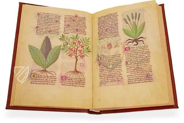 Fascination of Medical Plants - Ziereis Facsimiles