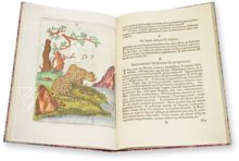 Flora Sinensis – 412 – Biblioteka Kórnicka (Kórnik, Poland) Facsimile Edition
