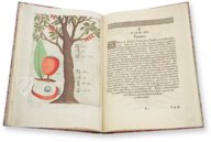 Flora Sinensis – Orbis Pictus – 412 – Biblioteka Kórnicka (Kórnik, Poland)