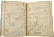 Forster Codices – Collezione Apocrifa Da Vinci – ms “Forster” – Victoria and Albert Museum (London, United Kingdom)