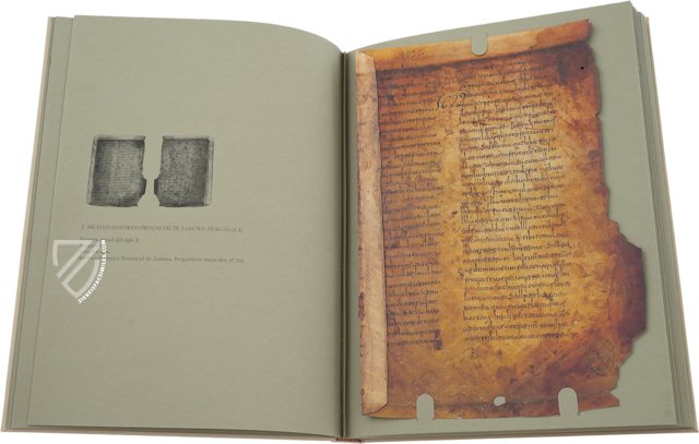 Fragments of Beatus – Testimonio Compañía Editorial – Mehrere Besitzer Fragments of Beatus – Testimonio Compañía Editorial – Mehrere Besitzer