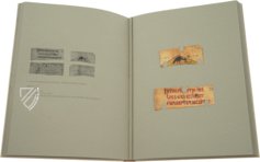 Fragments of Beatus – Testimonio Compañía Editorial – Mehrere Besitzer Fragments of Beatus – Testimonio Compañía Editorial – Mehrere Besitzer