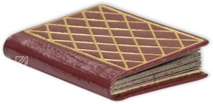 Francis of Assisi and Saint Anne – Belser Verlag – Vat. lat. 11254 – Biblioteca Apostolica Vaticana (Vatican City, Vatican City State)