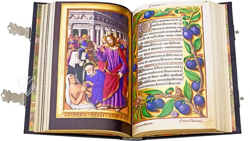 Full-page miniatures like panel paintings and 330+ plants with their scientific names make this both a book of hours and a botanical encyclopedia (Great Hours of Anne of Brittany, Tours, France — 1503–1508)