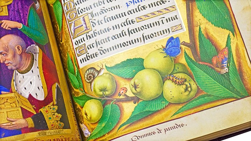 Full-page miniatures like panel paintings and 330+ plants with their scientific names make this both a book of hours and a botanical encyclopedia (Great Hours of Anne of Brittany, Tours, France — 1503–1508)