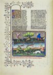 Gaston Phoebus - Le livre de la chasse – M. Moleiro Editor – Ms. fr. 616 – Bibliothèque nationale de France (Paris, France)