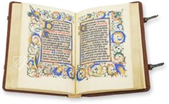 Geert Groote - Getijdenboek – Orbis Pictus – Rps 83/I – Biblioteka Uniwersytecka Mikołaj Kopernik w Toruniu (Toruń, Poland)