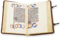 Geert Groote - Getijdenboek – Orbis Pictus – Rps 83/I – Biblioteka Uniwersytecka Mikołaj Kopernik w Toruniu (Toruń, Poland)