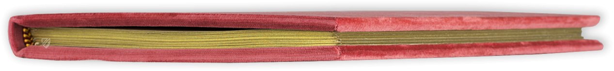 Golden Book of Pfäfers – Akademische Druck- u. Verlagsanstalt (ADEVA) – Cod. Fabariensis 2 – Stiftsarchiv St. Gallen (St. Gallen, Switzerland)