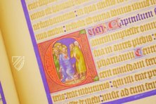 Gospels of John of Opava – Coron Verlag – Codex 1182 – Österreichische Nationalbibliothek (Vienna, Austria)