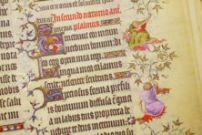 Grandes Heures du Duc de Berry – Patrimonio Ediciones – Ms. Lat. 919|R.F. 2835 – Bibliothèque nationale de France (Paris, France)