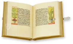 Great Hours of Anne of Brittany – Club Bibliófilo Versol – Lat. 9474 – Bibliothèque nationale de France (Paris, France)