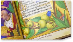 Great Hours of Anne of Brittany – M. Moleiro Editor – Lat. 9474 – Bibliothèque nationale de France (Paris, France)