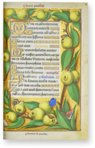 Great Hours of Anne of Brittany – M. Moleiro Editor – Lat. 9474 – Bibliothèque nationale de France (Paris, France)