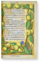 Great Hours of Anne of Brittany – M. Moleiro Editor – Lat. 9474 – Bibliothèque nationale de France (Paris, France)