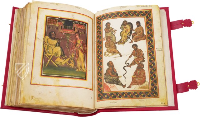 Greek Dioscorides – Testimonio Compañía Editorial – Chig. F.VII.1590 – Biblioteca Apostolica Vaticana (Vatican City, State of the Vatican City)