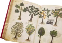 Greek Dioscorides – Testimonio Compañía Editorial – Chig. F.VII.1590 – Biblioteca Apostolica Vaticana (Vatican City, Vatican City State)