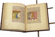 Guido de Columnis: The Trojan War – Coron Verlag – Cod. 2773 – Österreichische Nationalbibliothek (Vienna, Austria)