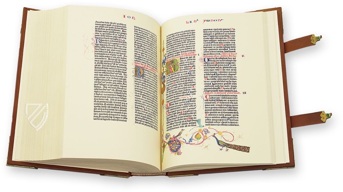 Gutenberg's Bible - The 42 Lined Bible (Codex Berlin)