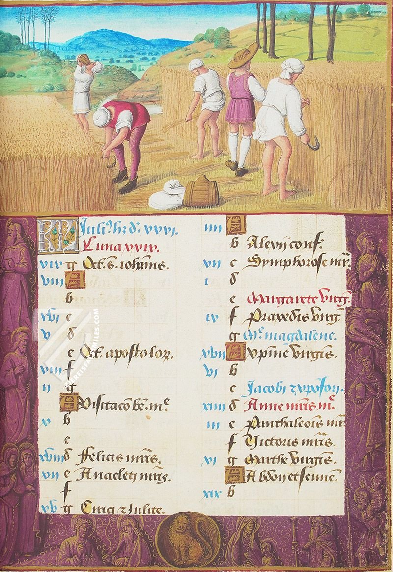 Harvesting wheat, labor of the month for July (Hours of Henry VIII, Tours, France — ca. 1500)