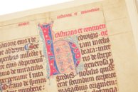 Hedwig Codex – Gebr. Mann Verlag – MS Ludwig XI 7 – The Getty Museum (Los Angeles, USA)