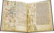 Heidelberg Mirror of Saxony – Akademische Druck- u. Verlagsanstalt (ADEVA) – Cod. Pal. germ. 164 – Universitätsbibliothek Heidelberg (Heidelberg, Germany)