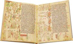 Heidelberg Mirror of Saxony – Insel Verlag – Cod. Pal. germ. 164 – Universitätsbibliothek Heidelberg (Heidelberg, Germany)