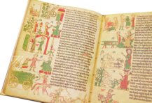 Heidelberg Mirror of Saxony – Insel Verlag – Cod. Pal. germ. 164 – Universitätsbibliothek Heidelberg (Heidelberg, Germany)