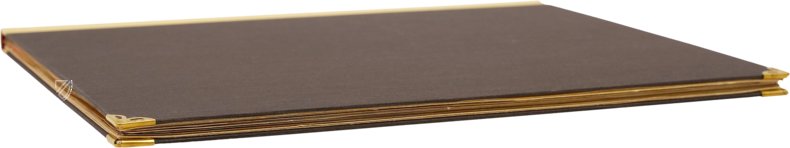 Heidelberg Mirror of Saxony – Insel Verlag – Cod. Pal. germ. 164 – Universitätsbibliothek Heidelberg (Heidelberg, Germany)