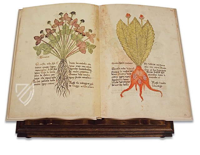 Herbarium of Trento – Priuli & Verlucca, editori – Museo provinciale del Castello del Buonconsiglio (Trento, Italy)
